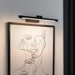 Paulmann Mingo LED schilderij verlichting 41,5 cm zwart