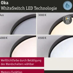 Paulmann Oka LED plafondlamp IP44 CCT zwart