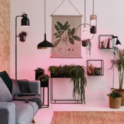 Paulmann planten lamp E27 Grow Green 6.5W