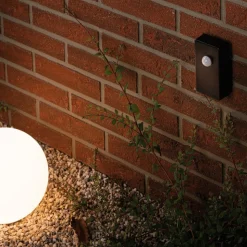 Paulmann Plug & Shine 18012 bewegings-/lichtsensor