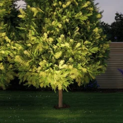 Paulmann Plug & Shine Inbouwlamp 14cm 3.000K 38°