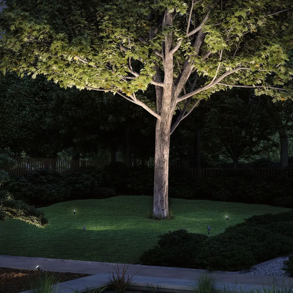 Paulmann Plug & Shine LED prikspot Radon