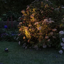 Paulmann Plug & Shine LED spot Kikolo, ZigBee, 2.200 K