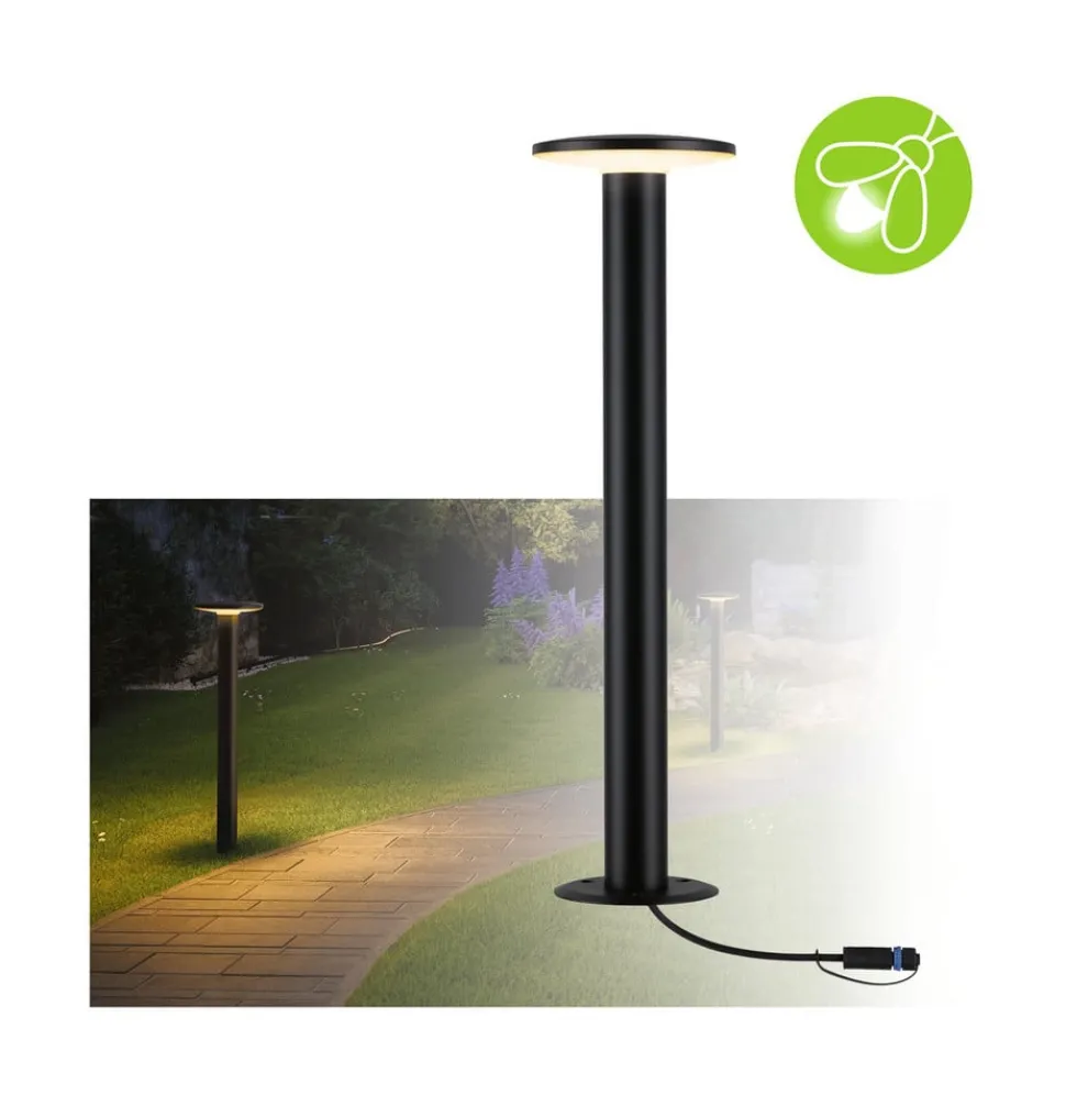 Paulmann Plug & Shine Plaat LED tuinpadverlichting 2.200K