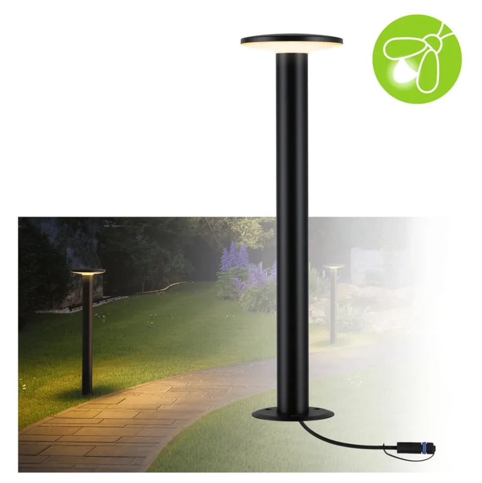 Paulmann Plug & Shine Plaat LED tuinpadverlichting 2.200K