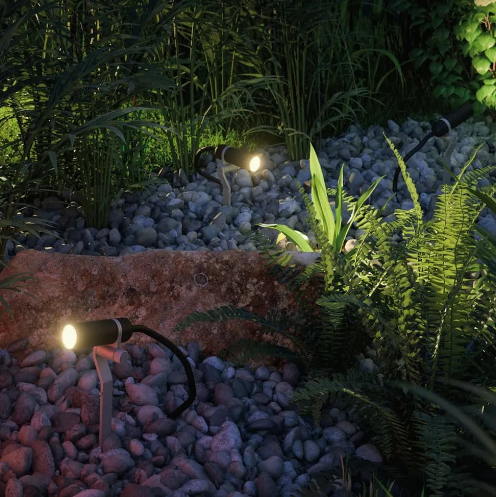 Paulmann Plug & Shine Plantini 3.000K basis set van 3