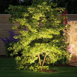 Paulmann Plug & Shine prikspot Sting 3000K