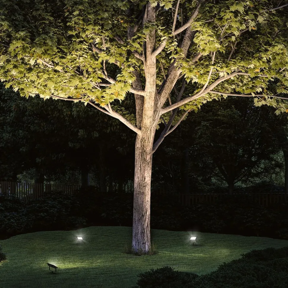 Paulmann Plug & Shine schijnwerper met spike 16W