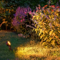 Paulmann Plug & Shine Sting earth spike spot 2200K 1 eenheid