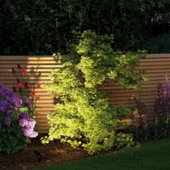 Paulmann Plug & Shine Sting 3000K 3-unit uitbreiding