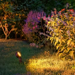 Paulmann Plug & Shine Sting Spot 2200K 3x basisset