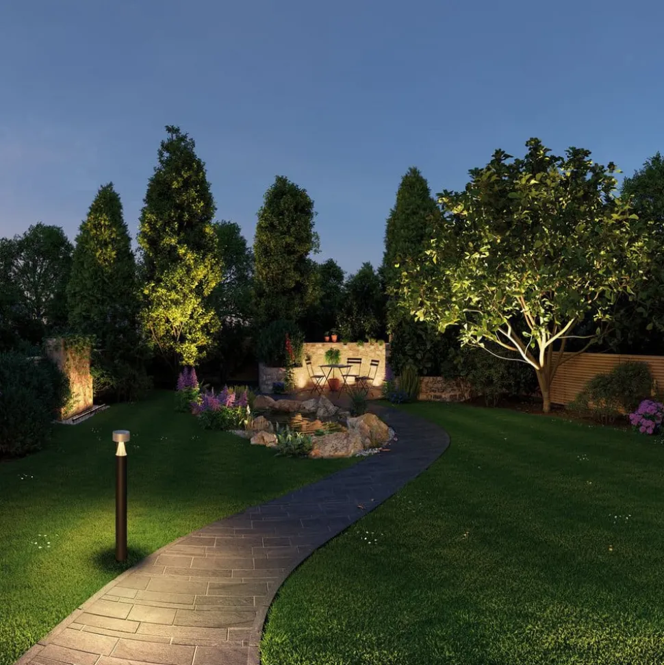 Paulmann Plug & Shine Voeding 98849, 75 W, zilver