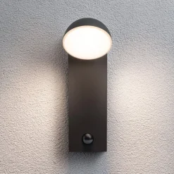 Paulmann Puka LED buitenwandlamp met sensor
