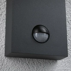 Paulmann Puka LED buitenwandlamp met sensor