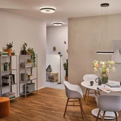 Paulmann Puric Pane I LED vloerlamp met dimmer