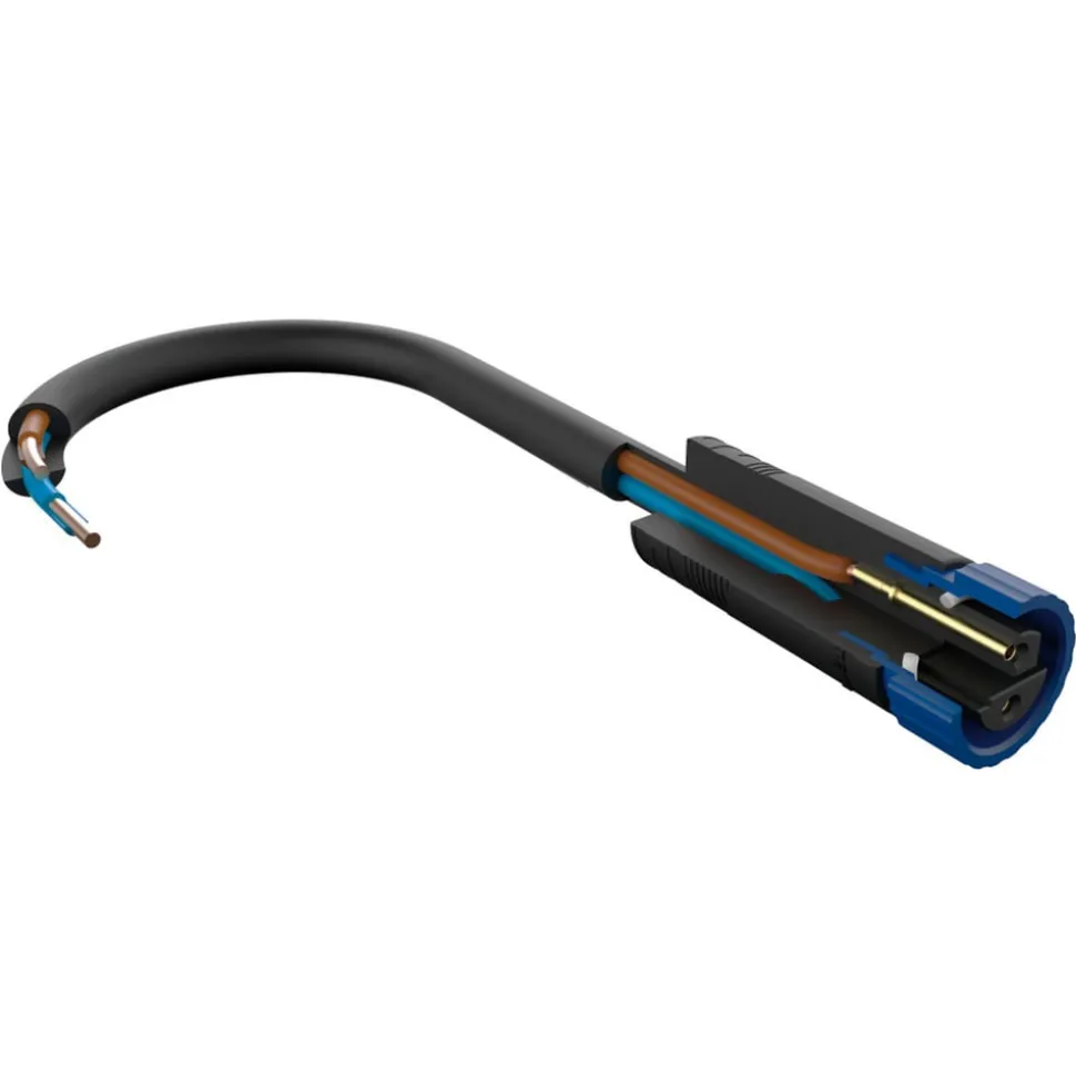 Paulmann Smart LED Kerst set Plug & Shine Star 10m kabel