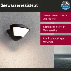 Paulmann Smart sensor buitenwandlamp Skyla antraciet CCT IP44
