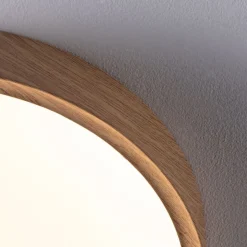 Paulmann Tega LED plafondlamp IP44 CCT hout