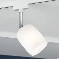 Paulmann URail Blossom spot wit, glas satijn