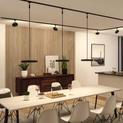 Paulmann URail Hildor LED hanglamp 3.000K zwart