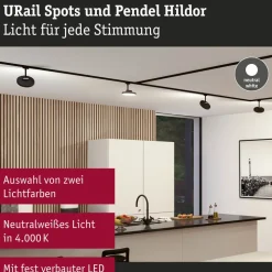 Paulmann URail Hildor LED spot zwart 4.000K