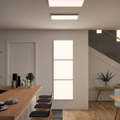 Paulmann Velora LED paneel 3-step-dim, 59,5x29,5cm