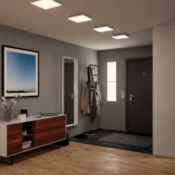 Paulmann Velora LED plafondlamp 59,5 x 29,5cm