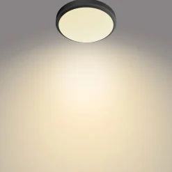 Philips Doris LED plafondlamp 2700K zwart Ø28cm