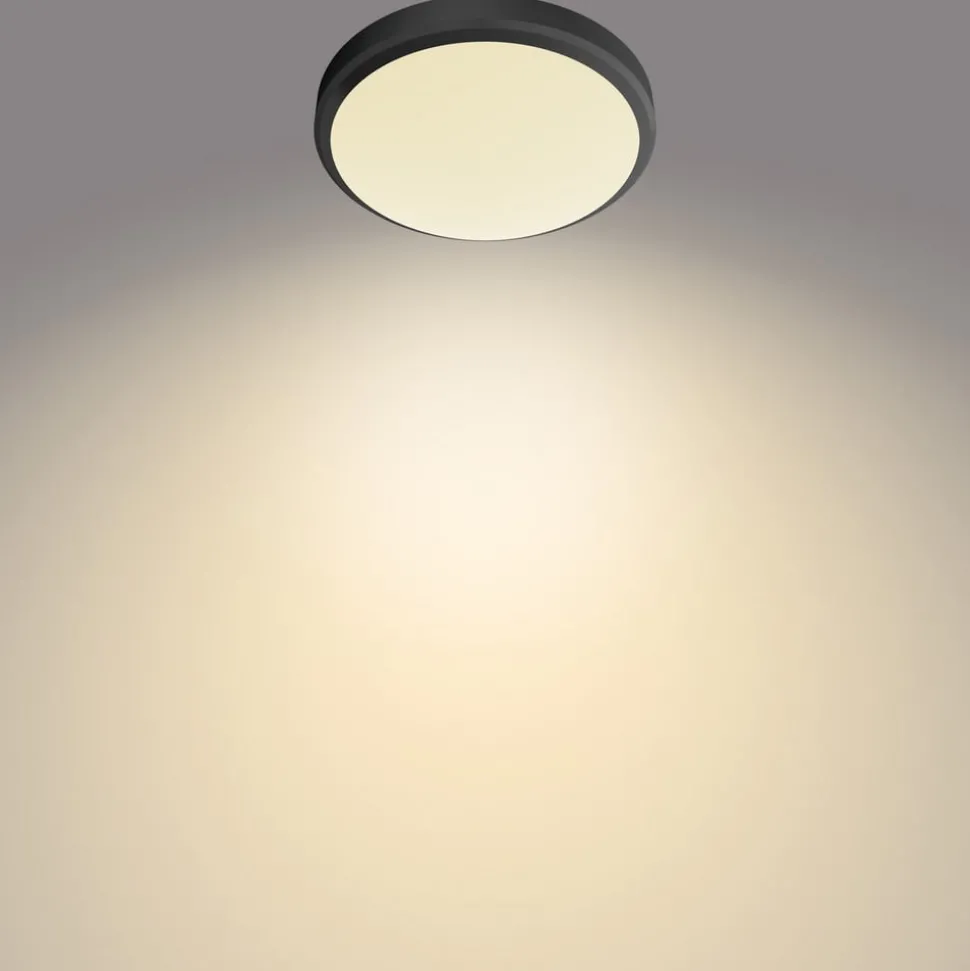 Philips Doris LED plafondlamp 2700K zwart Ø28cm