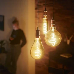 Philips E27 LED bol G95 5,5W dimbaar 2.200K goud