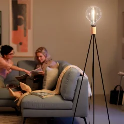 Philips Giant Globe rook LED lamp E27 6.5W