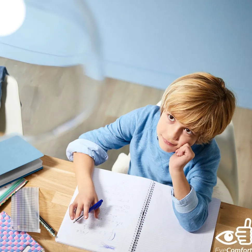 Philips Giant Globe rook LED lamp E27 6.5W