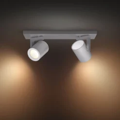 Philips Hue Argenta LED-spot 2-lamps aluminium