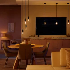 Philips Hue E27 7W LED lamp Giant Globe filament