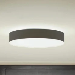 Philips Hue Enrave LED plafondlamp 38,1cm zwart