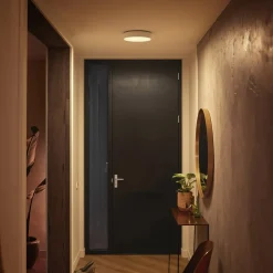 Philips Hue Enrave LED plafondlamp 26,1cm wit