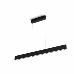Philips Hue Ensis hanglamp, WACA, zwart