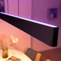 Philips Hue Ensis hanglamp, WACA, zwart