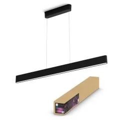 Philips Hue Ensis hanglamp, WACA, zwart