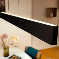 Philips Hue Ensis hanglamp, WACA, zwart