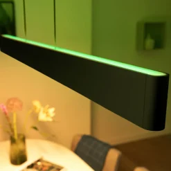 Philips Hue Ensis hanglamp, WACA, zwart