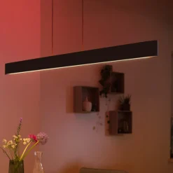 Philips Hue Ensis hanglamp, WACA, zwart