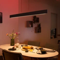 Philips Hue Ensis hanglamp, WACA, zwart