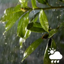 Philips Hue Lightstrip Outdoor 5m Wit & Kleur