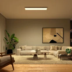 Philips Hue Surimu LED paneel, 120x30cm