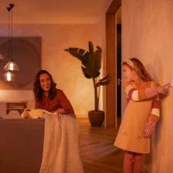 Philips Hue wandschakelaar-module, 2 per pak