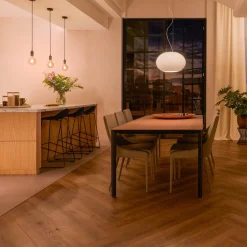 Philips Hue wandschakelaar-module, 2 per pak