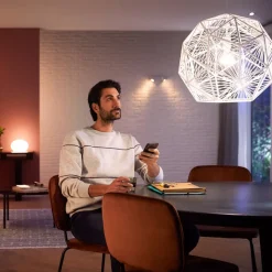 Philips Hue White 9W E27 LED lamp, 2 per set