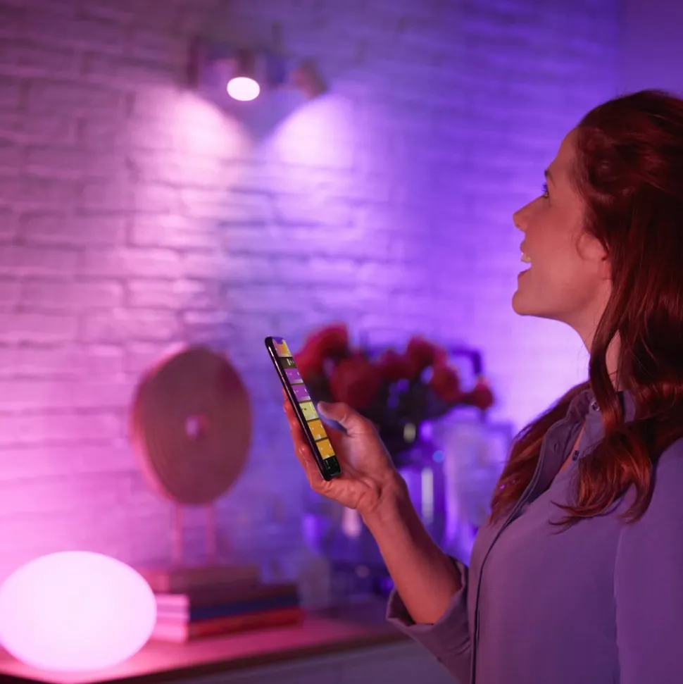 Philips Hue White+Color E27 15W LED lamp
