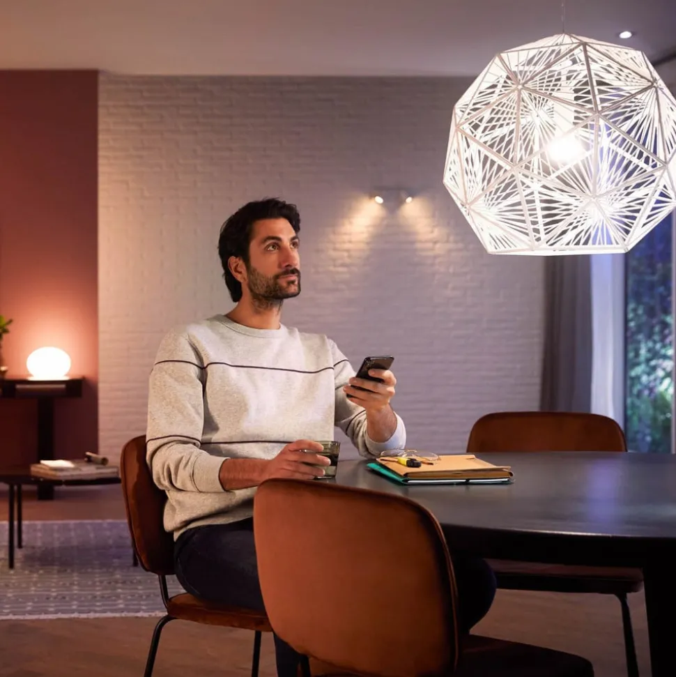 Philips Hue White+Color E27 15W LED lamp